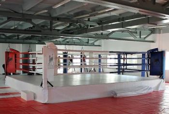Gym Top Quality Floor Boxing Ring & Professional Boxing Training Equipment - Dezhou Bodi Fitness Equipment Co., Ltd. - China