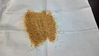 Dried Distillers Grain with Solubles (DDGS) Origin Madhya Pradesh, India Processing Method Distillation Form Dried Grain With - Sharda Enterprises - India