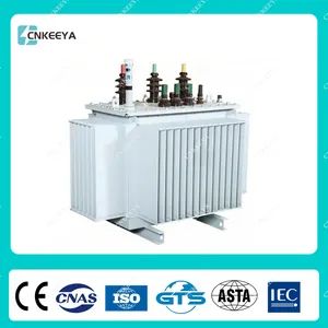 Cnkeeya Oil-Immersed Type Wooden Pallet, Case 800kVA 1000kVA 1500kVA 2mva 2.5mva Current Transformer with CCC - Zhejiang Hanya Electric Appliance Co., Ltd. - China