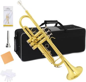 Bb Key 3 Rotary Valves Yellow Brass Trumpet Color Gold Age Children Brand Artiny Trademark Artiny Origin Guangzhou Thickness Padding - GUANGZHOU ARTINY GUITAR CO., LTD - China