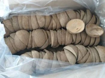 coconut shell oval  half use ice cream cups - Geneticexports - India