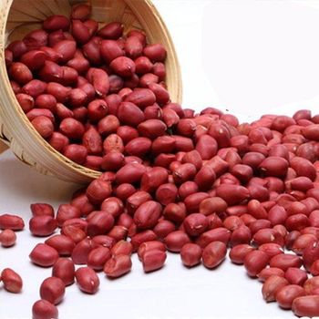 PEANUTS KERNEL from AGRO AFRIQUE COMPANY LIMITED PEANUTS KERNEL - AGRO AFRIQUE COMPANY LIMITED - Tanzania