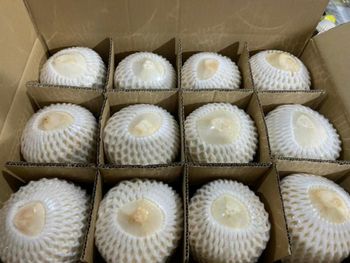 Coconut - Ngoc Tra fresh food  - Vietnam