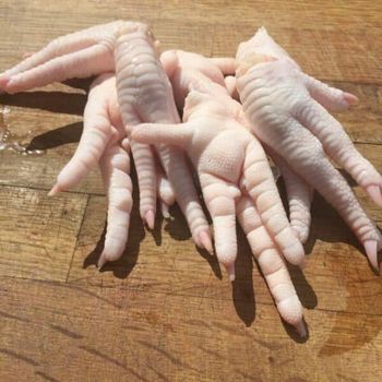 Fresh Premium Halal Chicken Feet Frozen BQF Vacuum Packed Food Grade High Protein Nutritious Caffeinated Supply 10kg Carton Export - Carla Pisselli Commercio - Brazil