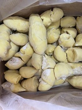 越南工厂直供：特级出口型【金枕头/Monthong】速冻榴莲果肉（支持OEM/定制） Organic Yes Origin Vietnam Type Frozen Durian Packaging 20kg Per Box (customizable) - TUAN TU VIETNAM CO., LTD - Vietnam