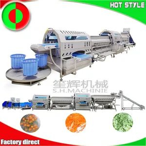 Large Continuous Fruit and Vegetable Processing Production Line Vegetable Washing Machine Leaf Vegetable Dewatering Machinery - Guangdong Shenghui Machinery Co., Ltd - China