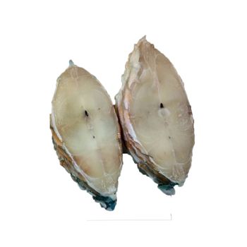 Frozen Parrot fish steak 2.5 cm headless size 5-7 pcs. bag/kg high quality best price in Vietnam - HAI PHU SEAFOOD ONE MEMBER EXPORT IMPORT LIMITED COMPANY - Vietnam