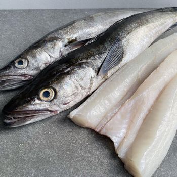 Available Stock Of Frozen Hake Fish/ Frozen Hake Fillet Fish Wholesale Good Quality Frozen Hake Fish - VERTEX TRADING LIMITED - United Kingdom