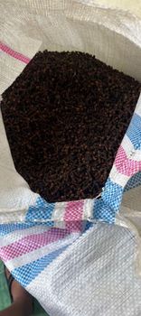 Cloves from Indo.supp Cloves - Indo.supp - Indonesia