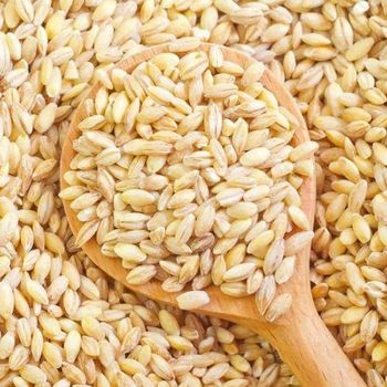Hard White Wheat - France Aj Alimentaire - Cambodia