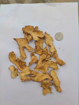 Farm fresh Organic Machine Dehydrated Ginger slices Form Slice Grade Export Variety Nadia Additives None Texture Thin Slices - GRM Agrofarm Integrated Technologies Pvt. Ltd. - India
