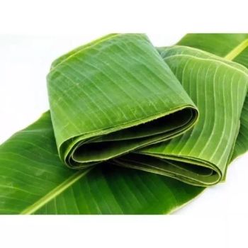 BANANA LEAVES Texture Fresh Packaging Pack Shape Merak Jakarta - PT. Hasan Berkah Perkasa HABEP - Indonesia
