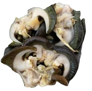 100% High Quality Edible Snails Dries Snails Giant African Land Snails for Sale Frozen Dried at Cheap Price WHATSAP +255762500052/ +255787979235 - AL JABLI TRADING COMPANY LIMITED - Tanzania