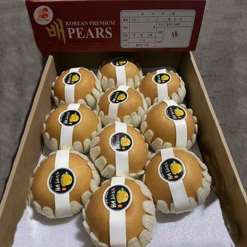 New crop fruit High Quality Chinese Fruit delicious fresh pear - Shandong Zhuoyi Import And Export Co., Ltd. - China