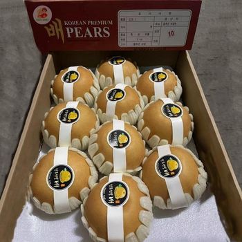 New crop fruit High Quality Chinese Fruit delicious fresh pear - Shandong Zhuoyi Import And Export Co., Ltd. - China