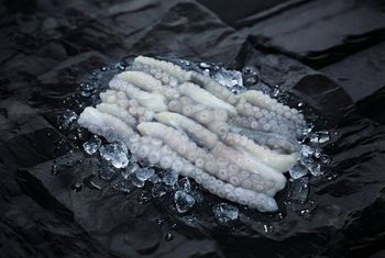 Cut Poulp Squid - Hup Sun Marine Products - Malaysia