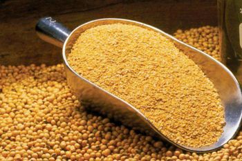 Soybean Meal from jbssa Soybean Meal - jbssa - Brazil