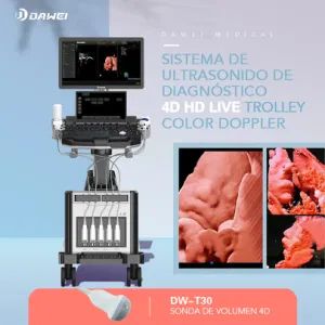 Cost Effective 3D 4D Color Doppler Dw-T30 Trolley Ultrasound Machine - Dawei Medical Co., Ltd - China