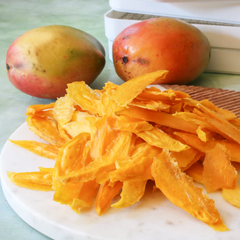 Best Price 100% Dehydrated Dry Mango Delicious Sweet Dried Fruit Tastes Sweet Cheap Persimmon Alternative - TRADECENTRIC LLC - United States
