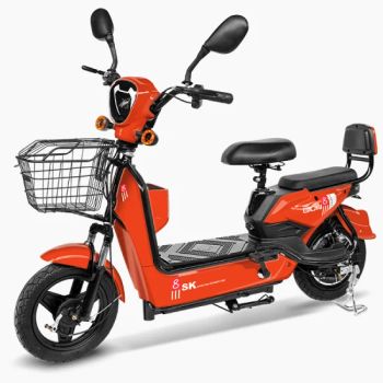 Fu Long Electric Vehicle High Quality 350W Electric Bicycle Factory - Shandong Fulong Electric Vehicle Co., Ltd. - China