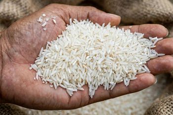 IRRI-6 LONG GRAIN WHITE RICE 10% Broken - Pakistan Origin from Pakistan Rice Mill IRRI-6 LONG GRAIN WHITE RICE 10% Broken - Pakistan Origin - Pakistan Rice Mill - Pakistan