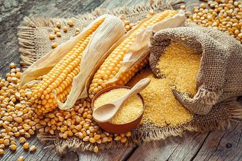 Maize Grits / Maize Meal Ash Max 1.5% Fat 1.0–2.5% Protein 7–9% Crude Fiber Max 2% Moisture Max 13.5% Impurities Max - BF GLOBAL TRADING (PTY) LTD - South Africa