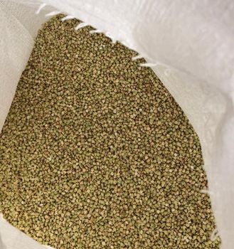 Buck Wheat Quality - Sushan Essentials Canada Inc. - Canada