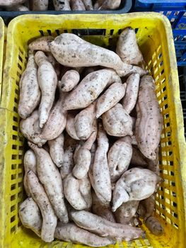 Premium Fresh Cilembu Honey Sweet Potato (35% Brix) - Export Grade from PT Niskala Wangi Nusantara Premium Fresh Cilembu Honey Sweet Potato (35% Brix) - Export Grade - PT Niskala Wangi Nusantara - Indonesia
