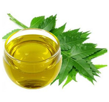 Neem oil - Sarvi Group - India