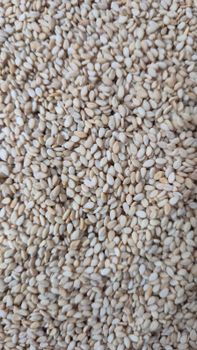 Natural Sesame seeds 99.98 - Balaji International - India