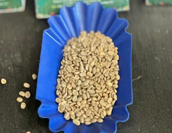 Coffee, arabica & robusta green beans from EASTERN BLENDS Coffee, arabica & robusta green beans - EASTERN BLENDS - Kenya