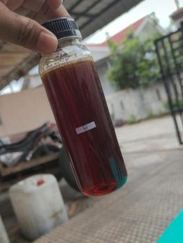 Natural Honey from PT ANAK MENOL IKAK Natural Honey - PT ANAK MENOL IKAK - Indonesia