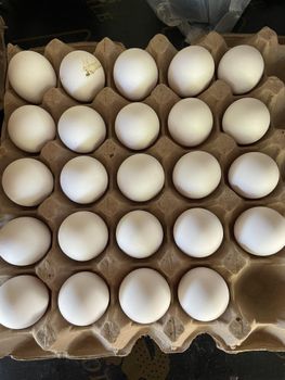 Best Quality Fresh Brown Table Chicken Eggs Cheap Organic Yes Color Beige, Brown, White Degree of Processing Boiled, Chilled, Peeled, Sliced - Smart Agri GmbH - Germany