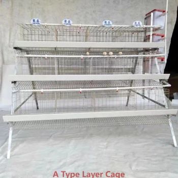 Livestock Machinery Poultry Farming Equipment Battery Cages for Layers - QINGDAO SUWANG ANIMAL HUSBANDRY EQUIPMENT CO., LTD. - China
