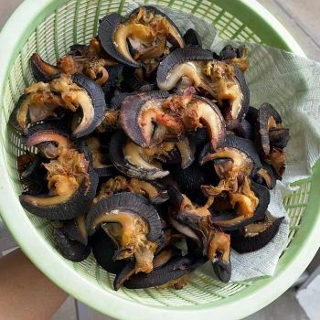 High Quality Original Flavor Salty Vegan White Dried African Snails France Adults Children 25kg Bag Ready - CPW TRADE LTD - United Kingdom