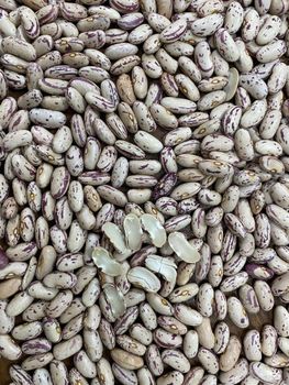 Premium Organic Milk Kidney Beans, Natural Non-GMO High Protein Dried Beans for Cooking & Baking - Super vegetables and fruits CO - China