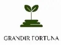 Product from Grandir Fortuna Pvt Ltd Product – product photo, Whole Green Cardamom Pods products found from trusted suppliers, wholesalers, manufacturers & exporters Listing