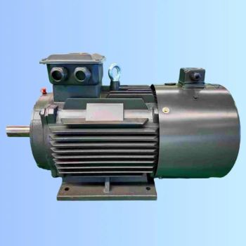 Professionally Manufactured - Specialized Motors Ye4-225s-2 for Mining, Oil Fields, Electric Power, Chemical Industry and Other Sectors - Hebei Xiangli Motor Manufacturing Co., Ltd - China