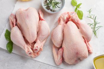 Premium Quality Halal Frozen Whole Chicken for Export Grade Top Grade Halal Certification Yes Type Frozen Whole Chicken Packaging as per customer requirement - Mutlu Et Mustafa - France