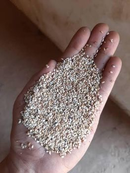 Premium Natural Sesame Seeds – Nigerian Origin – product photo, Whole Nutmeg Seeds products found from trusted suppliers, wholesalers, manufacturers & exporters Listing