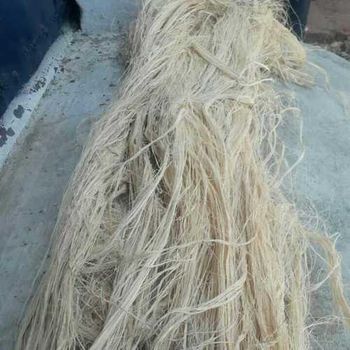 Banana Fiber Material Fiber Address - Friends Fiber Yarn Limited - Bangladesh