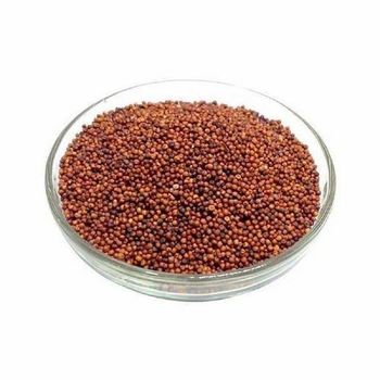 Large volume finger millet wholesale bulk supply high grade grains - HIGHPROFILE AGRICULTURE SERVICES LIMITED - Tanzania