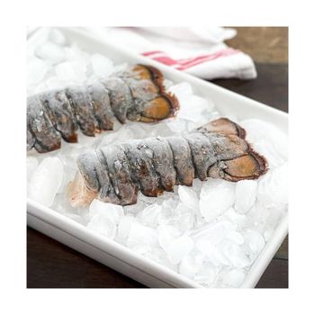 High value frozen lobster tails arranged for consistent trade supply - MASI TRADING GMBH - Germany