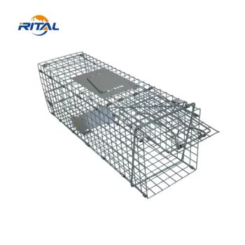 Heavy Duty Live Animal Cage Trap Galvanize Folding Cat Rabbit Dog Trap - Hebei Rital Metal Products Co., Ltd. - China