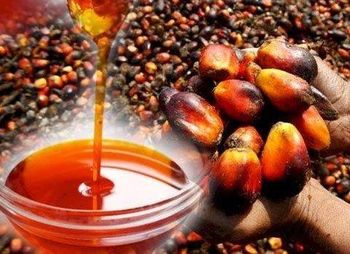 Manufacturer Supply Wholesale Bulk Price RBD Palm Oil 100% Pure Natural Organic Red Palm Oil from DAEWKAEW PANTAMANG Co., Ltd Manufacturer Supply Wholesale Bulk Price RBD Palm Oil 100% Pure Natural Organic Red Palm Oil - DAEWKAEW PANTAMANG Co., Ltd - Thailand