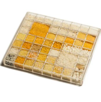 Bread Crumbs Panko Gluten Free - Beijing Shipuller Co., Ltd. - China
