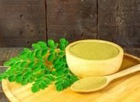 Moringa Powder from Needsync Solutions LLP Moringa Powder – product photo, Dried Moringa Powder products found from trusted suppliers, wholesalers, manufacturers & exporters Listing
