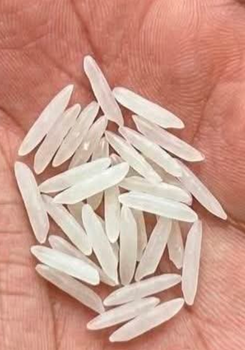 Dubal steam Rice 1122 Form Other Features Long term business, Organic - Murway Growers Ltd - Kenya
