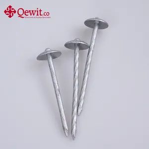Electro Galvanized Umbrella Head Roofing Nails for Reliable Roofing Solutions - Qewitco Fasteners Co., Ltd - China