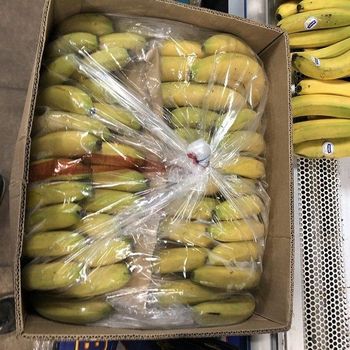 Fresh Bananas Premium Quality Ripe Fruit For Wholesale Supply Retail Stores Grocery Markets And Daily Fresh from EAST LAND PROPERTIES Fresh Bananas Premium Quality Ripe Fruit For Wholesale Supply Retail Stores Grocery Markets And Daily Fresh – product photo, Top Quality Products